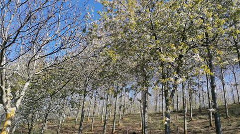 Foto 3 von Grundstücke zum Verkauf in Calle Suso, 17, San Millán de la Cogolla, La Rioja