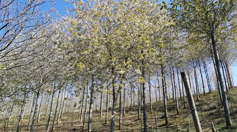 Foto 2 von Grundstücke zum Verkauf in Calle Suso, 17, San Millán de la Cogolla, La Rioja