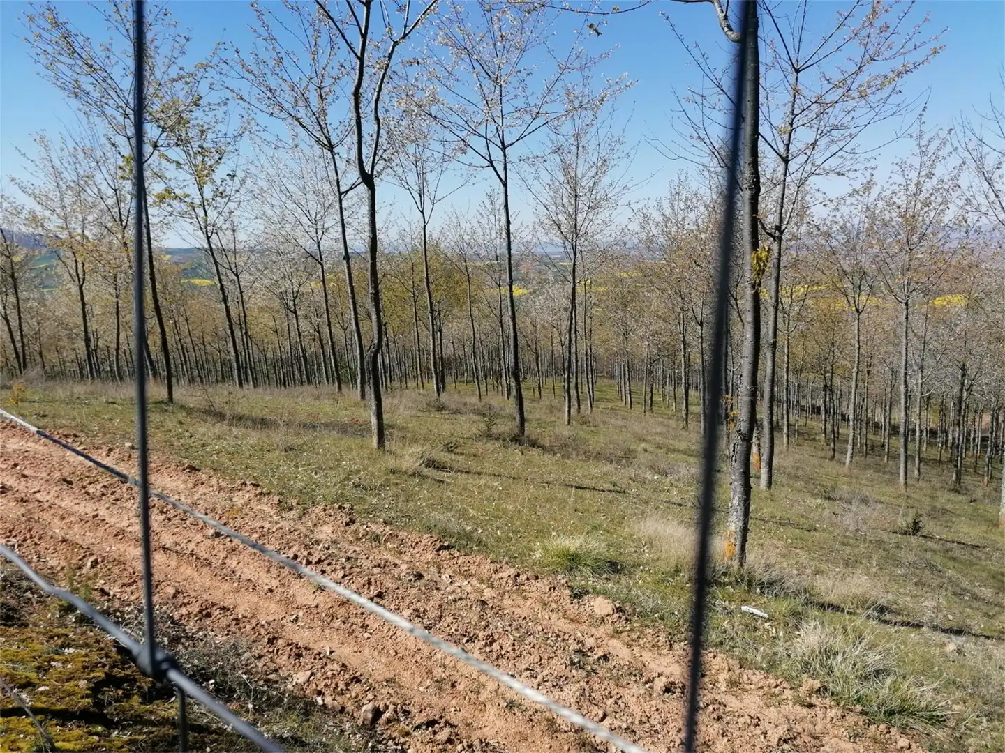 Terreno en venta en Calle Suso, 17, San Millán de la Cogolla Terreno en venta en San Millán de la Cogolla