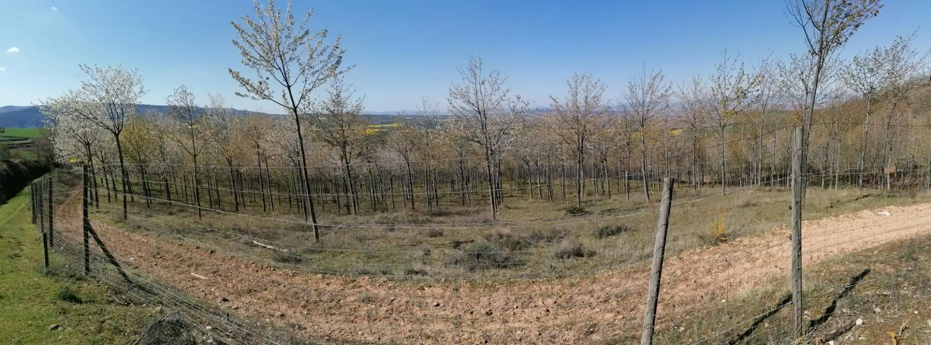Terreno en venta en Calle Suso, 17, San Millán de la Cogolla Terreno en venta en San Millán de la Cogolla