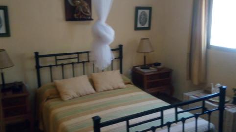 Land for sale in A-8127, Montellano, Sevilla - image 5 Photo 5 of Land for sale in A-8127, Montellano, Sevilla