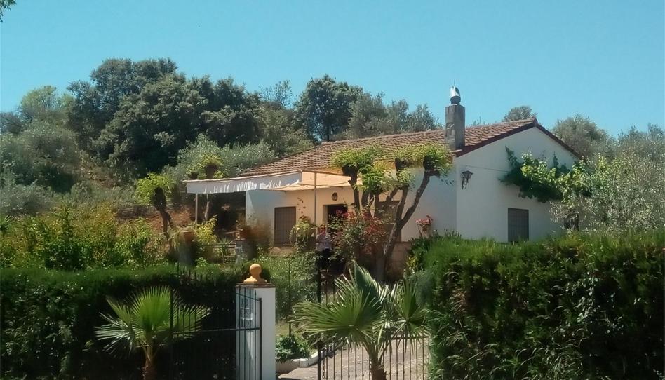 Land for sale in A-8127, Montellano, Sevilla - image 1 Photo 1 of Land for sale in A-8127, Montellano, Sevilla