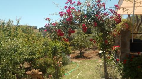 Land for sale in A-8127, Montellano, Sevilla - image 3 Photo 3 of Land for sale in A-8127, Montellano, Sevilla