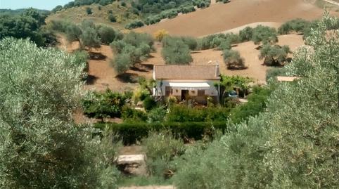 Land for sale in A-8127, Montellano, Sevilla - image 4 Photo 4 of Land for sale in A-8127, Montellano, Sevilla