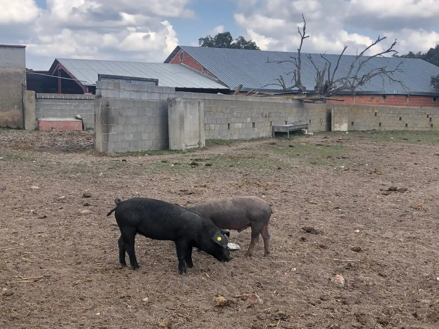 Exterior view of Land for sale in Fuentes de Oñoro