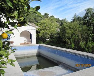 Swimming pool of Country house for sale in Alozaina  with Terrace and Swimming Pool