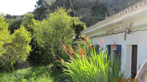 Foto 2 de Finca rústica en venta en Jorox, Alozaina, Málaga