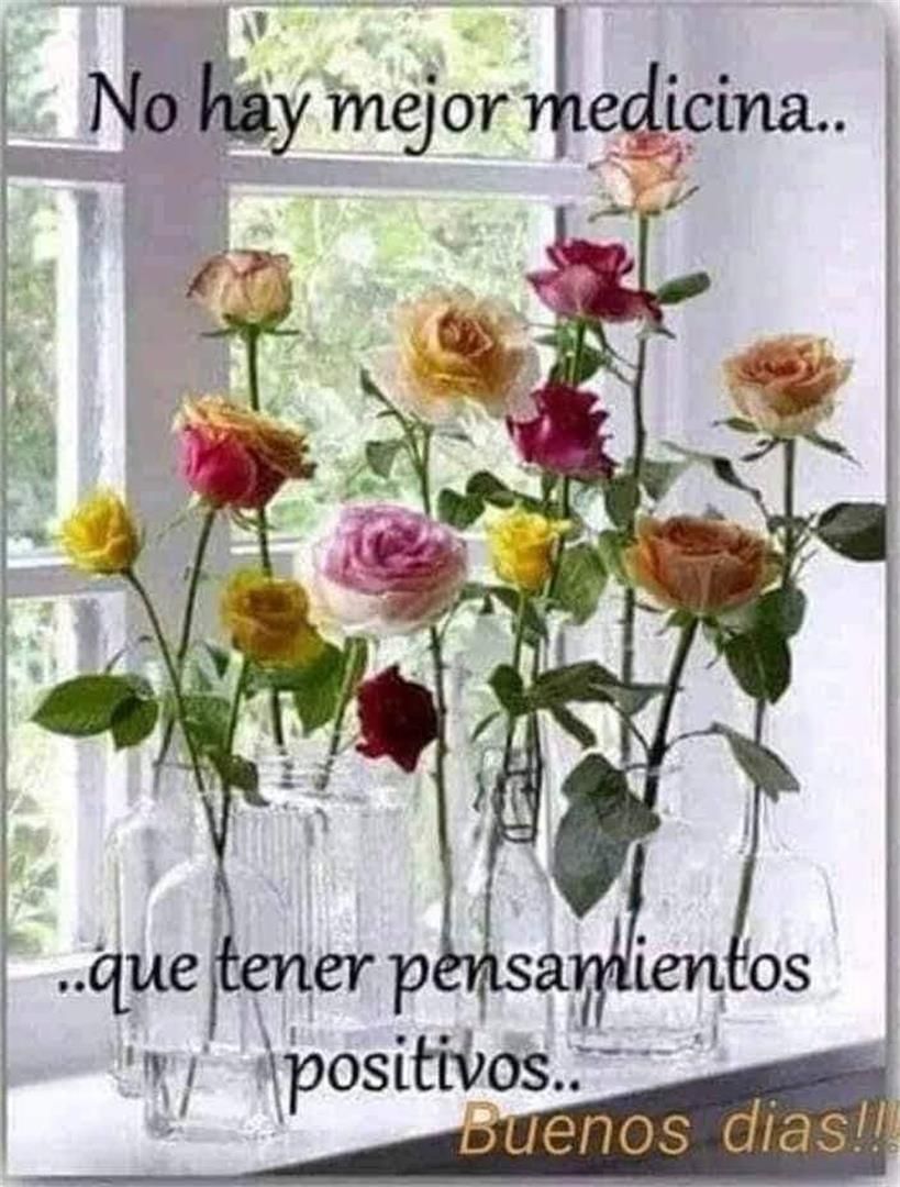 House or chalet for sale in Calle Peñas Meleras, 14, Tarazona Exterior view of House or chalet for sale in Tarazona with Terrace