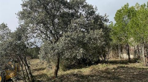 Photo 2 of Land for sale in Carrer Crespià, 21, Cabra del Camp, Tarragona