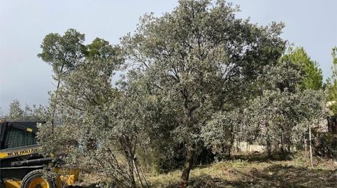 Photo 3 of Land for sale in Carrer Crespià, 21, Cabra del Camp, Tarragona