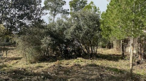 Photo 4 of Land for sale in Carrer Crespià, 21, Cabra del Camp, Tarragona