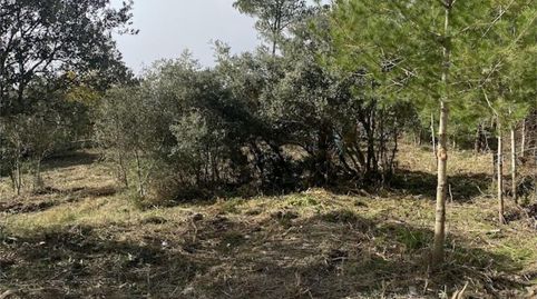 Photo 5 of Land for sale in Carrer Crespià, 21, Cabra del Camp, Tarragona
