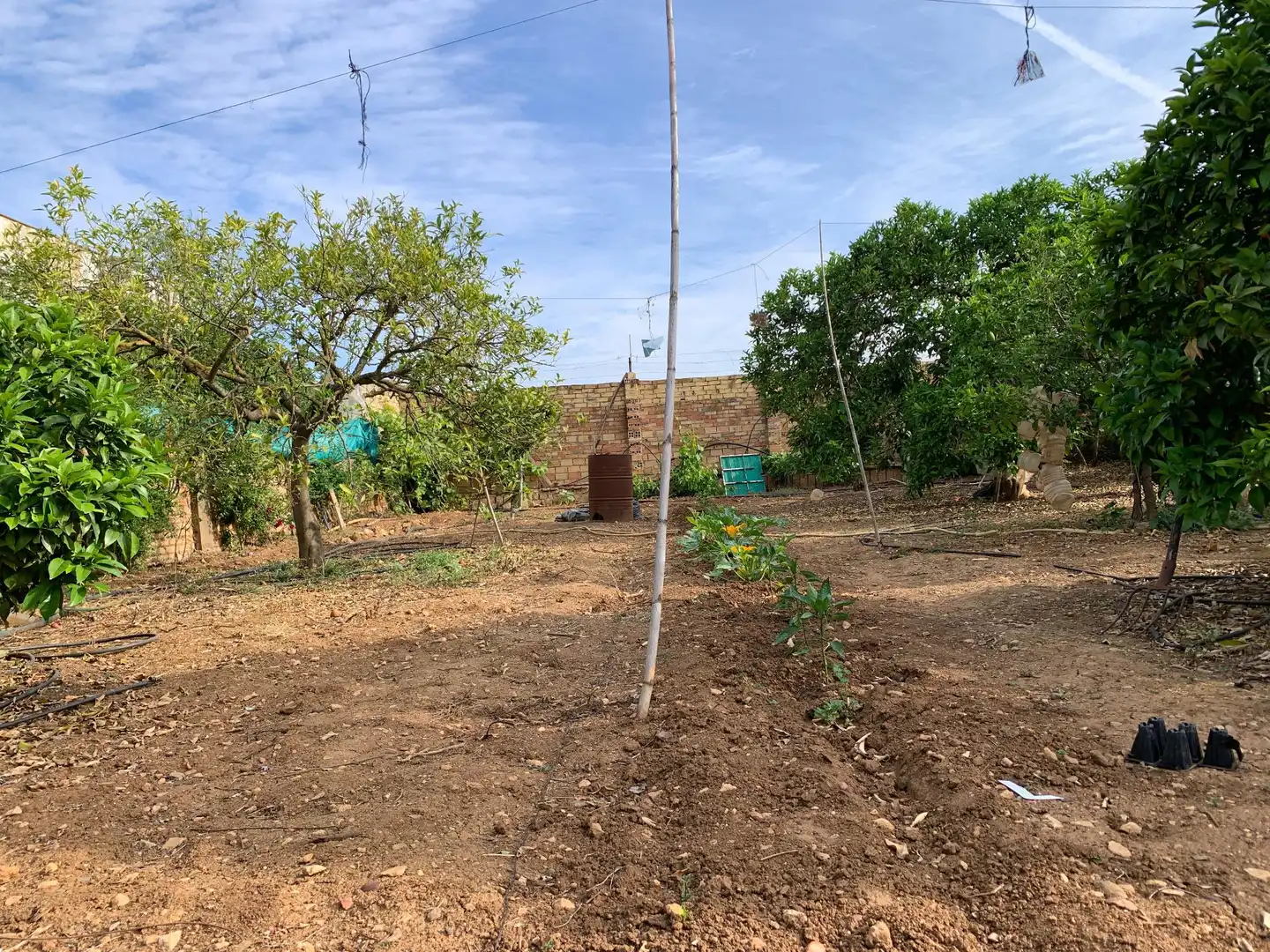 Land for sale in Paterna del Campo