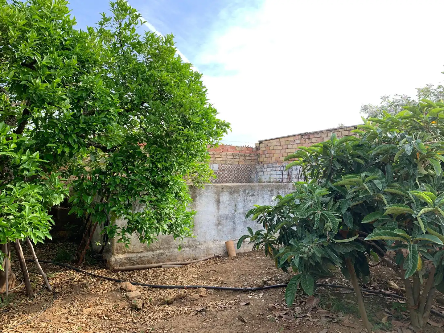 Land for sale in Paterna del Campo