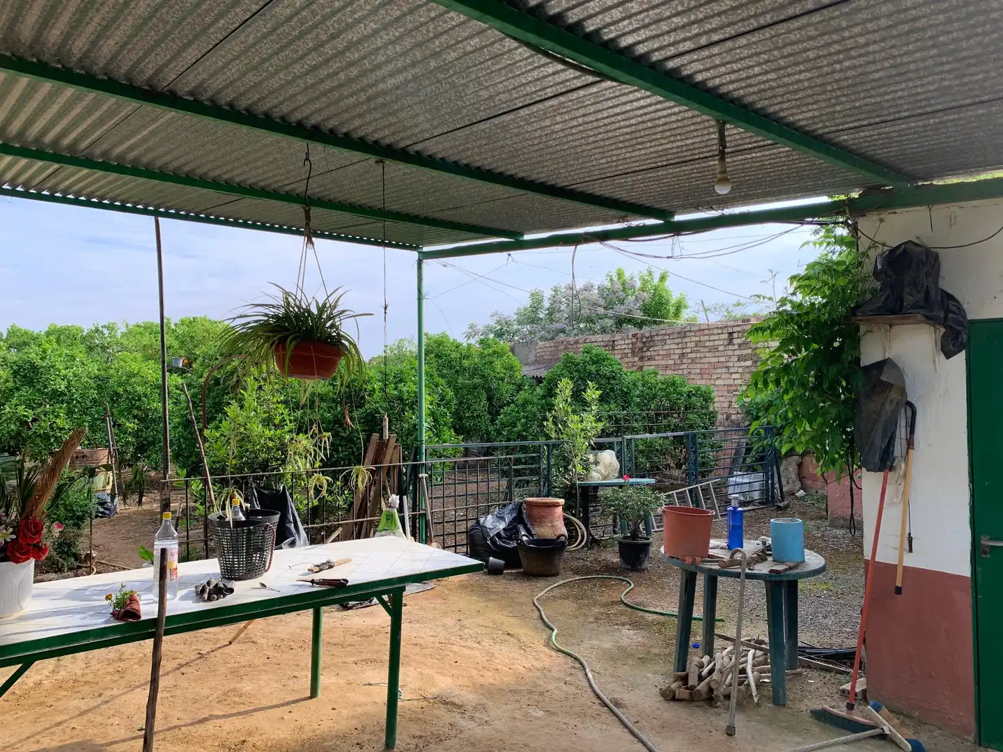 Terrace of Land for sale in Paterna del Campo