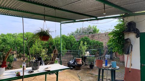 Land for sale in Calle Los Pájaros, 110, Paterna del Campo, Huelva - image 3 Photo 3 of Land for sale in Calle Los Pájaros, 110, Paterna del Campo, Huelva