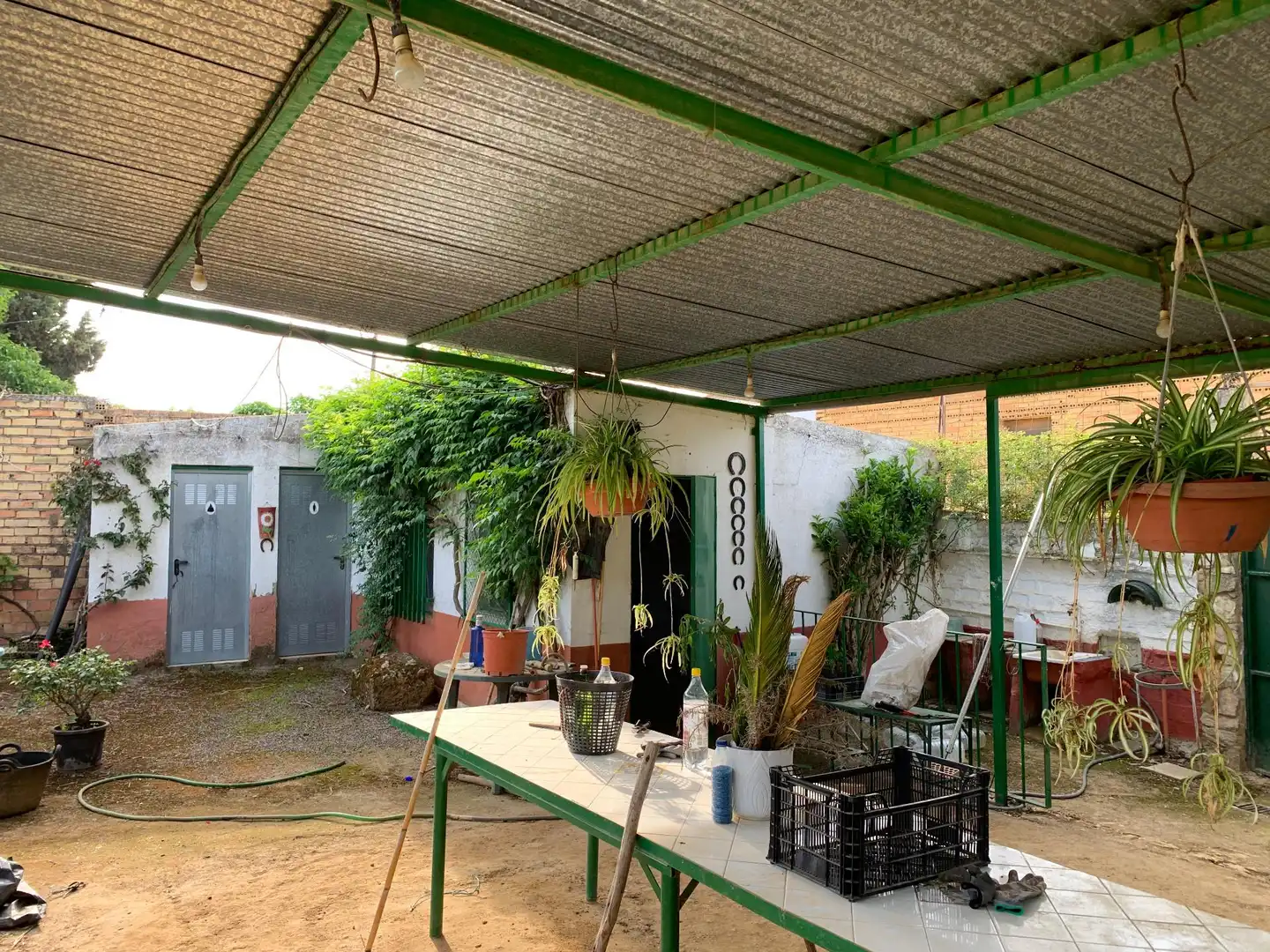 Terrace of Land for sale in Paterna del Campo