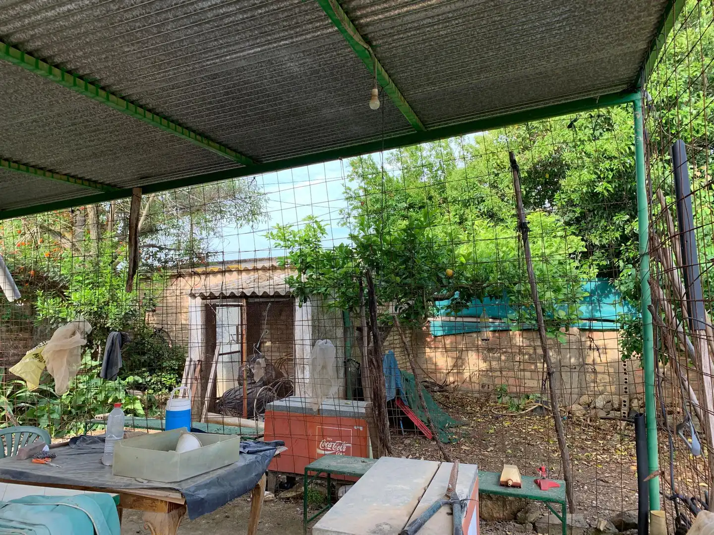 Garden of Land for sale in Paterna del Campo