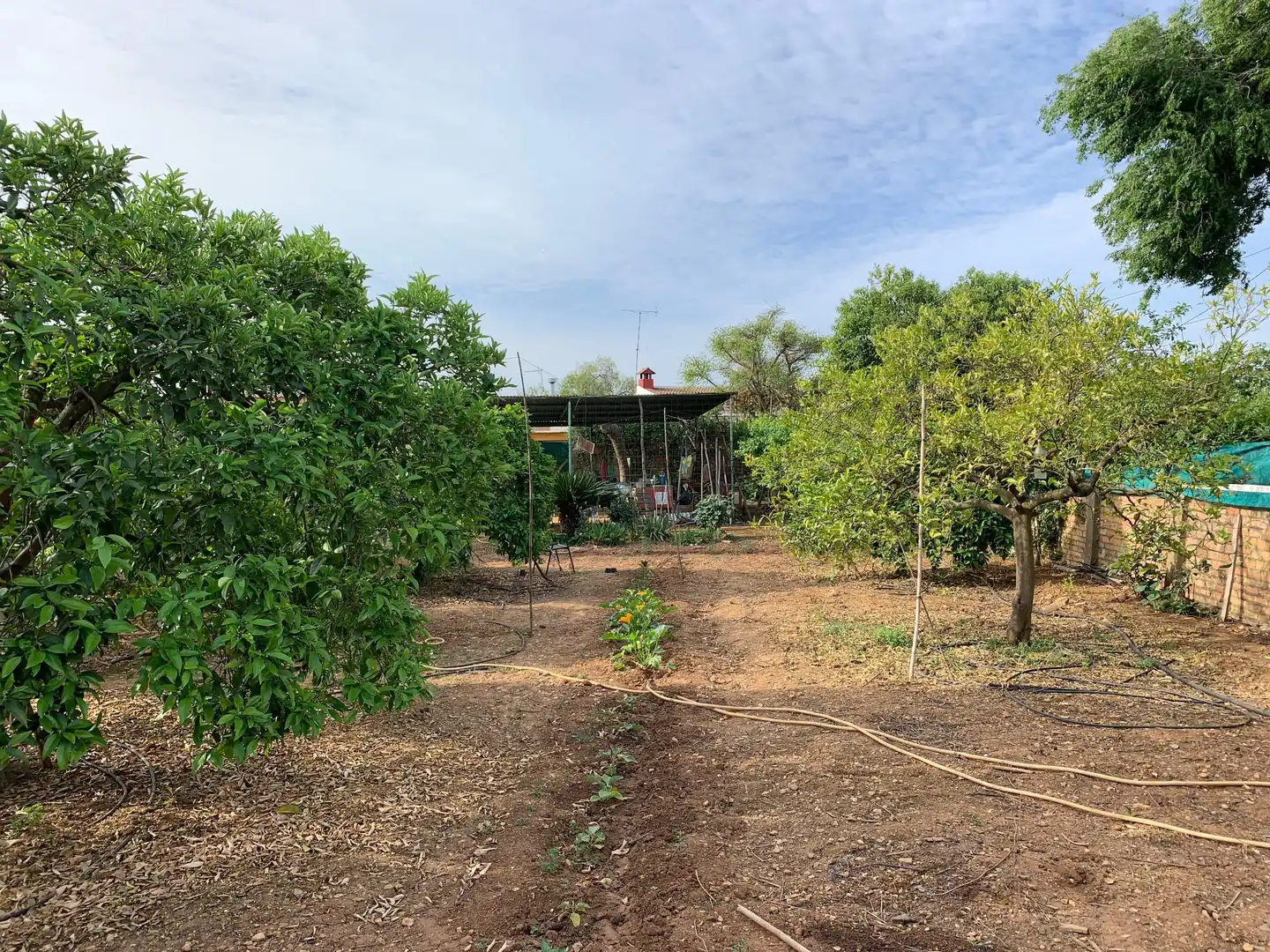 Land for sale in Paterna del Campo