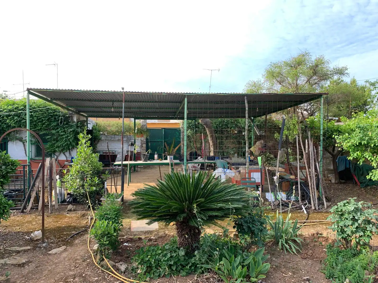 Garden of Land for sale in Paterna del Campo