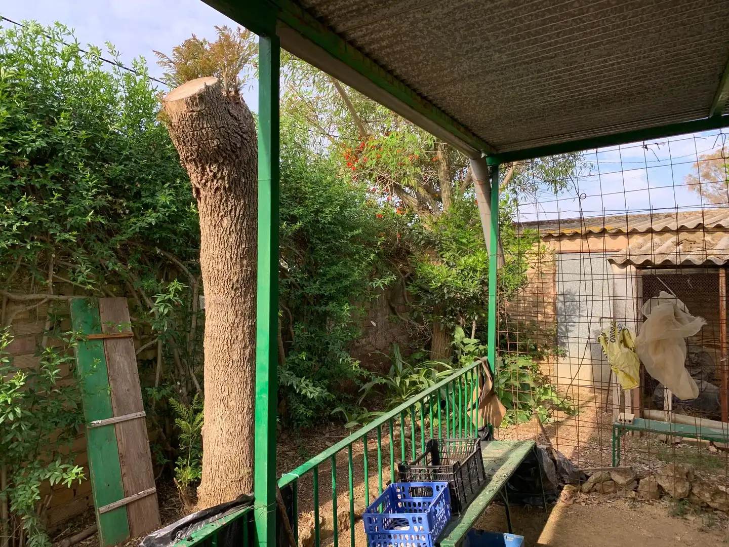 Garden of Land for sale in Paterna del Campo