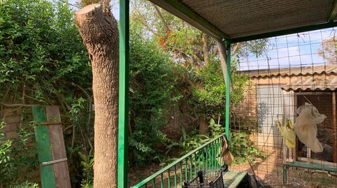 Land for sale in Calle Los Pájaros, 110, Paterna del Campo, Huelva - image 4 Photo 4 of Land for sale in Calle Los Pájaros, 110, Paterna del Campo, Huelva