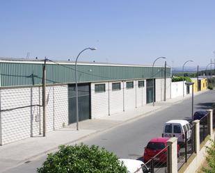 Vista exterior de Nau industrial en venda en Brenes