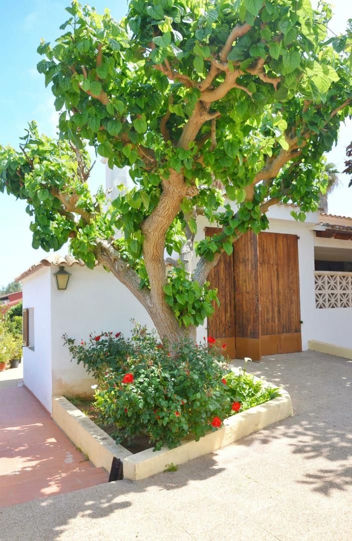 Jardí de Casa o xalet en venda en Felanitx amb Terrassa