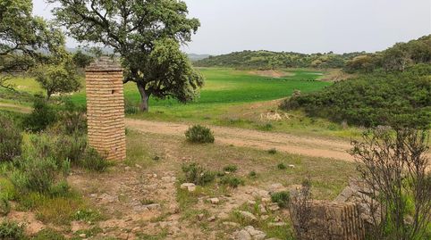 Foto 3 de Terreno en venta en Camino la Parrita, El Ronquillo, Sevilla