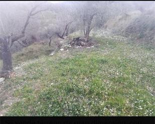 Außenansicht von Grundstücke zum verkauf in Castell de Castells