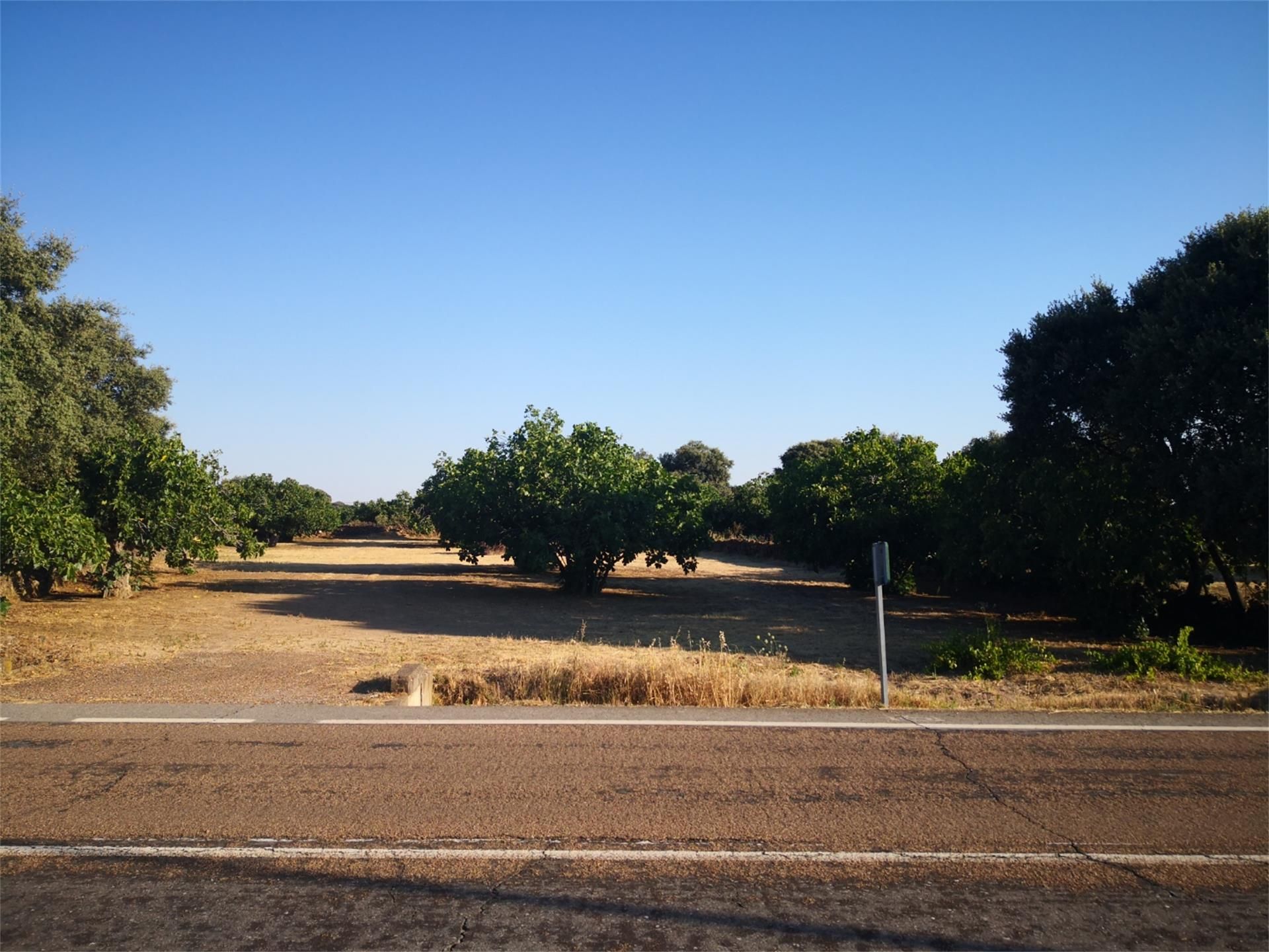 Land for sale in Torre de Santa María