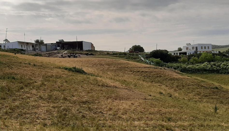 Finca rústica en venda a A-390a, Medina Sidonia, Cádiz - imatge 1 Foto 1 de Finca rústica en venda a A-390a, Medina Sidonia, Cádiz