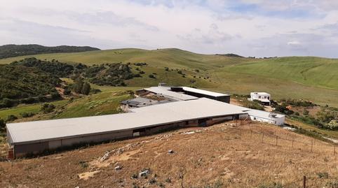 Finca rústica en venda a A-390a, Medina Sidonia, Cádiz - imatge 4 Foto 4 de Finca rústica en venda a A-390a, Medina Sidonia, Cádiz