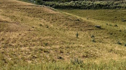 Finca rústica en venda a A-390a, Medina Sidonia, Cádiz - imatge 5 Foto 5 de Finca rústica en venda a A-390a, Medina Sidonia, Cádiz