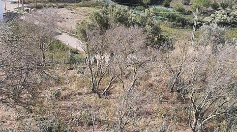 Finca rústica en venda a A-390a, Medina Sidonia, Cádiz - imatge 2 Foto 2 de Finca rústica en venda a A-390a, Medina Sidonia, Cádiz