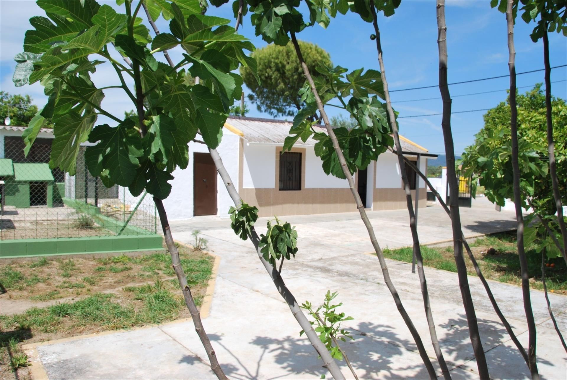 Finca rústica en venda a Carretera del Aeropuerto, El Higuerón Vista exterior de Finca rústica en venda en Córdoba Capital amb Aire condicionat, Jardí privat i Terrassa