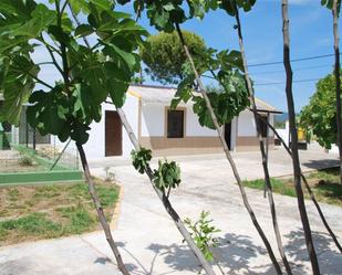 Vista exterior de Finca rústica en venda en  Córdoba Capital amb Aire condicionat, Jardí privat i Terrassa