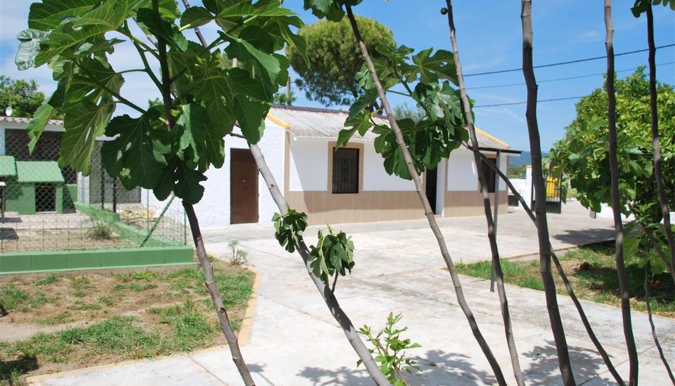 Finca rústica en venda a Carretera del Aeropuerto, El Higuerón, Córdoba - imatge 1 Foto 1 de Finca rústica en venda a Carretera del Aeropuerto, El Higuerón, Córdoba