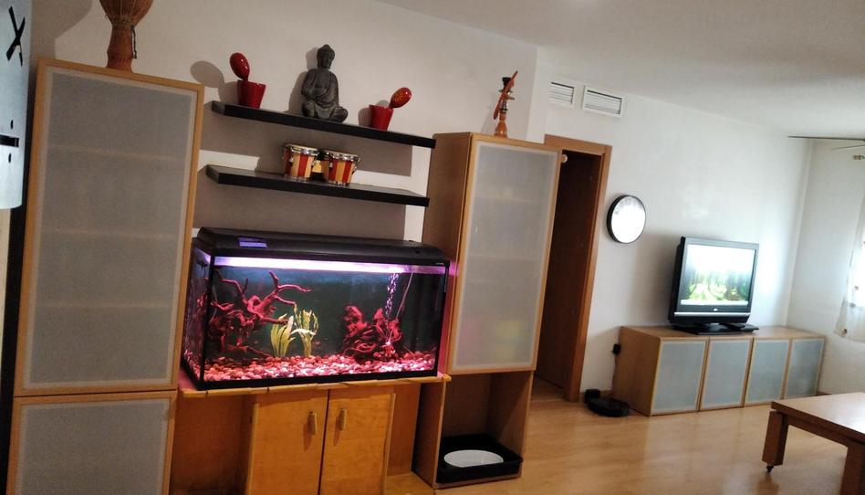 Foto 1 de Pis de lloguer a Calle Poeta Eloy Sánchez Rosillo, Espinardo, Murcia