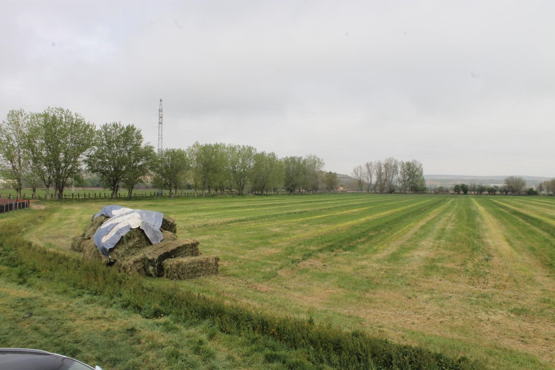 Land for sale in Aranjuez