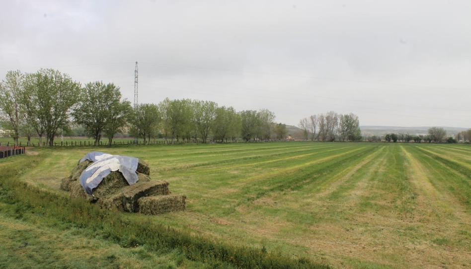 Photo 1 of Land for sale in Trasera Polígono, 4, La Montaña - El Cortijo, Madrid