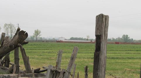 Photo 3 of Land for sale in Trasera Polígono, 4, La Montaña - El Cortijo, Madrid