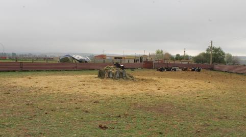 Photo 4 of Land for sale in Trasera Polígono, 4, La Montaña - El Cortijo, Madrid