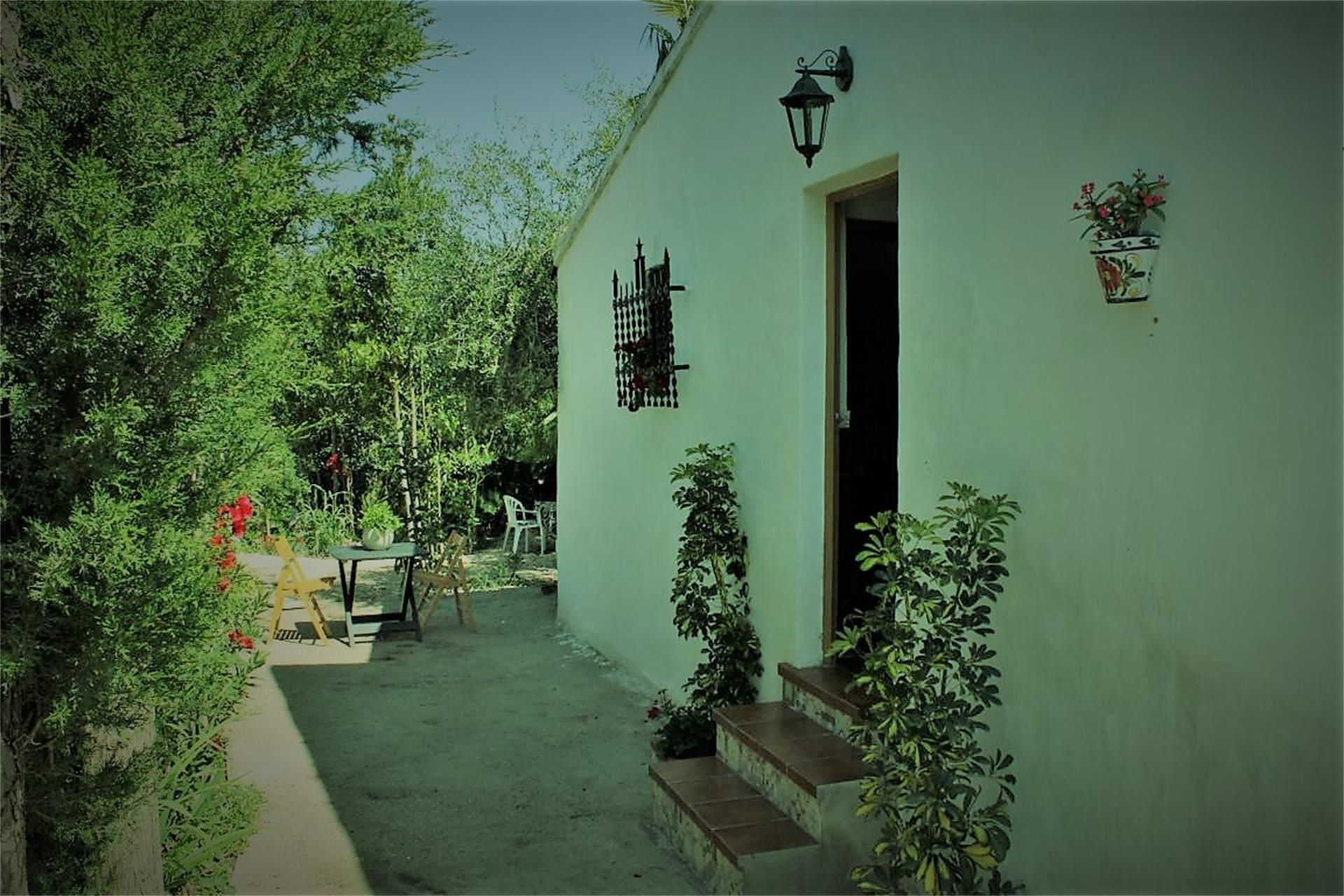 Vista exterior de Finca rústica en venta en Orihuela