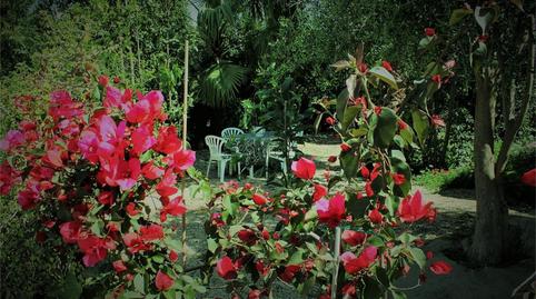 Photo 3 of Flat for sale in Calle Paraje el Mansegal, Desamparados - Hurchillo - Torremendo, Orihuela