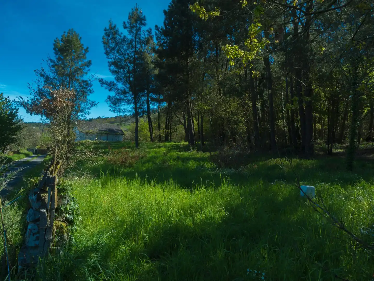 Constructible Land for sale in As Cortes, Láncara Constructible Land for sale in Láncara