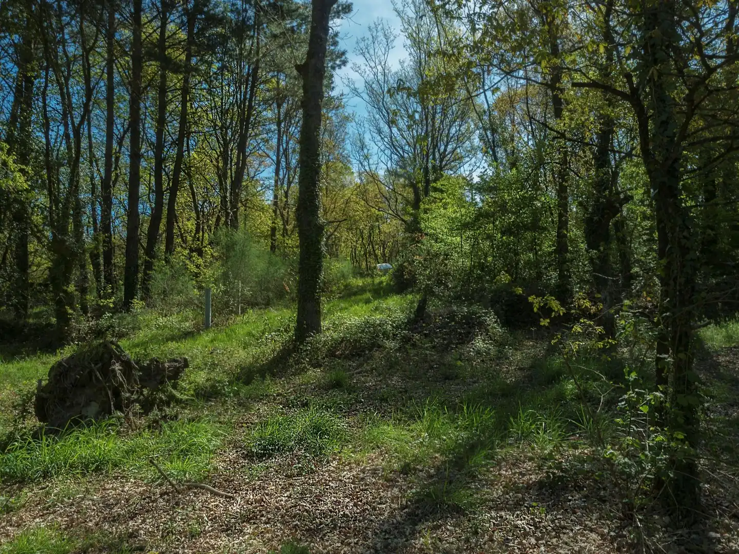 Constructible Land for sale in As Cortes, Láncara Constructible Land for sale in Láncara