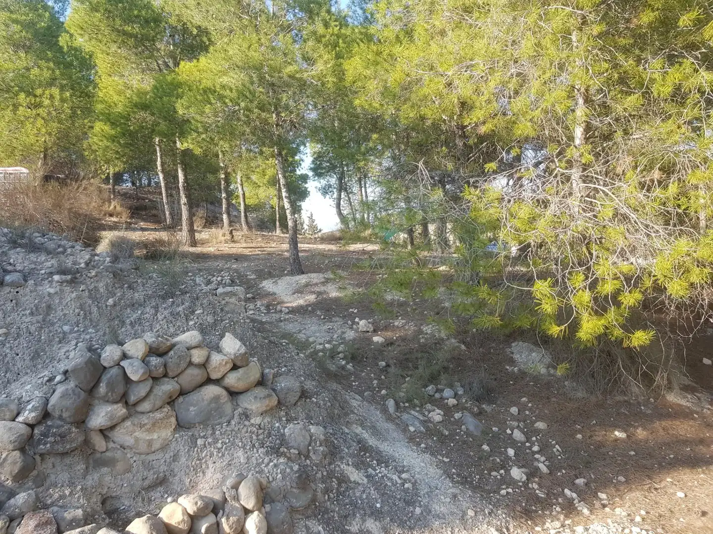 No Urbanitzable en venda en Monóvar  / Monòver