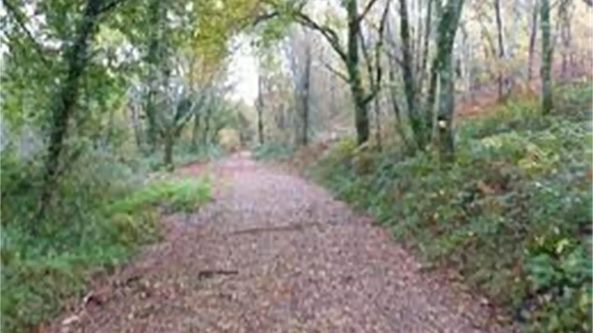 Vista exterior de Terreno en venta en Lalín