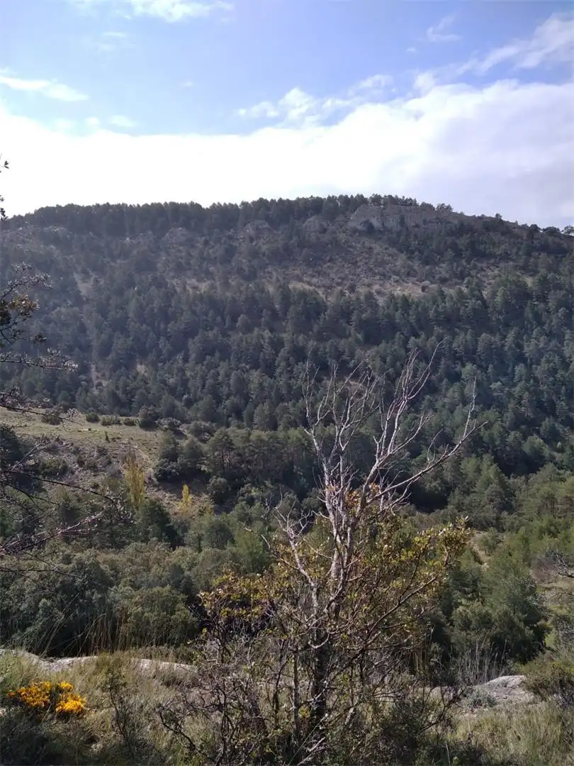 Land for sale in La Pobla de Benifassà Land for sale in La Pobla de Benifassà